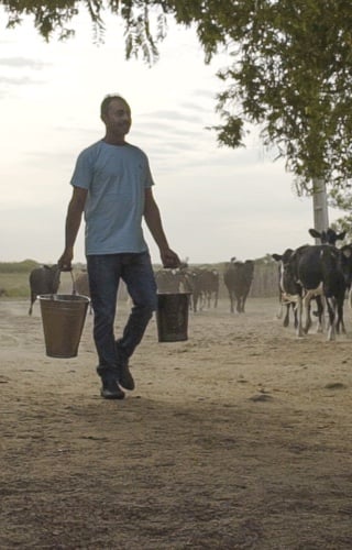 Imagem ilustração parahero-instituto-mobile